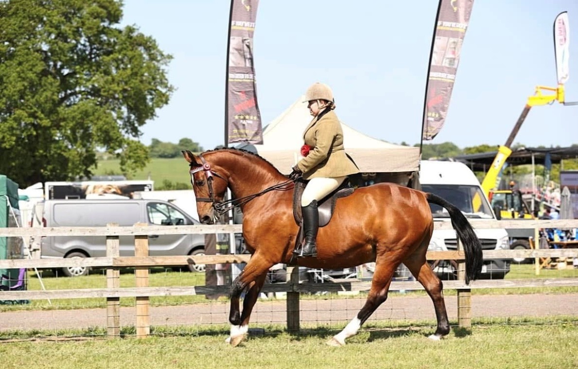 Lauren Mallon-Smith - Reuben