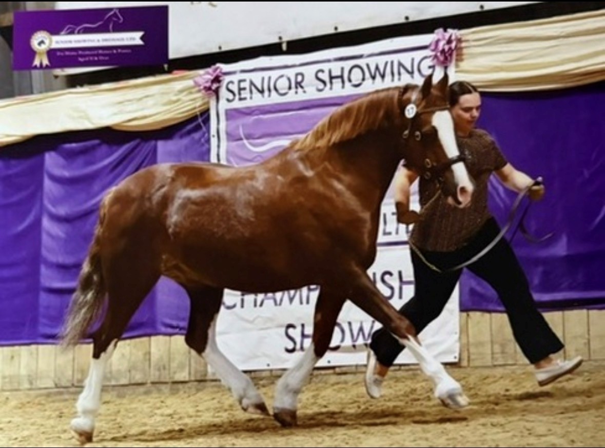 Abigail Lane - Blackbourn Roger