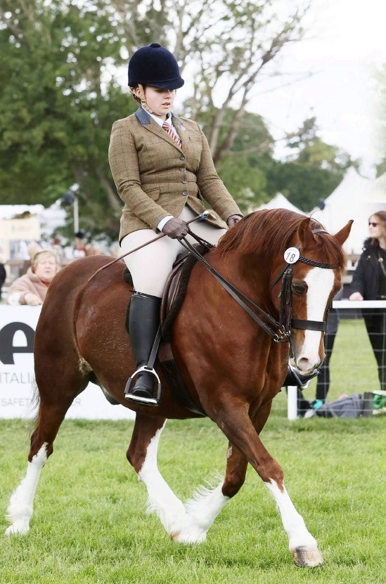 Abigail lane - Blackbourn Roger