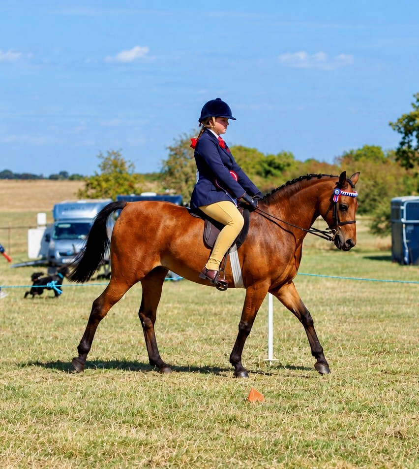 Fernanda Semonella - Eskside Diamond Geeza