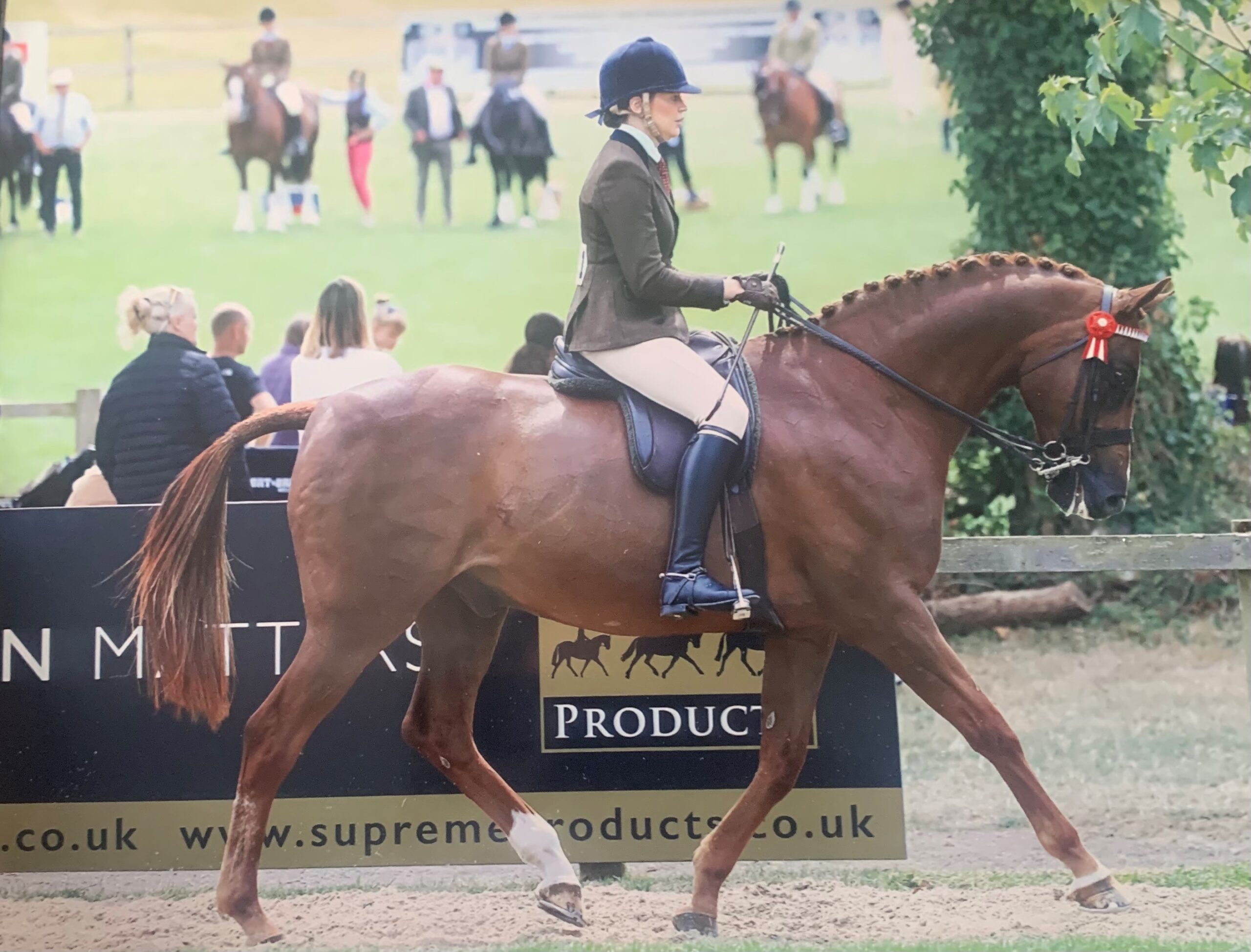 Rebecca Anders - Restwood Royal Appointment