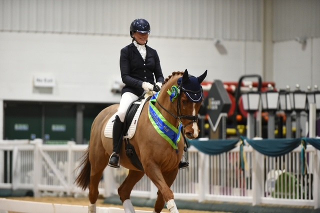 Rebecca Anders - Prestwood Royal Appointment